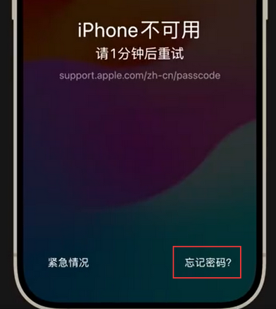 七叉镇苹果手机密码维修分享iPhone忘记了刚设置的密码 