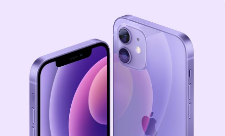 七叉镇苹果手机维修分享紫色版iPhone 12有什么技术亮点 